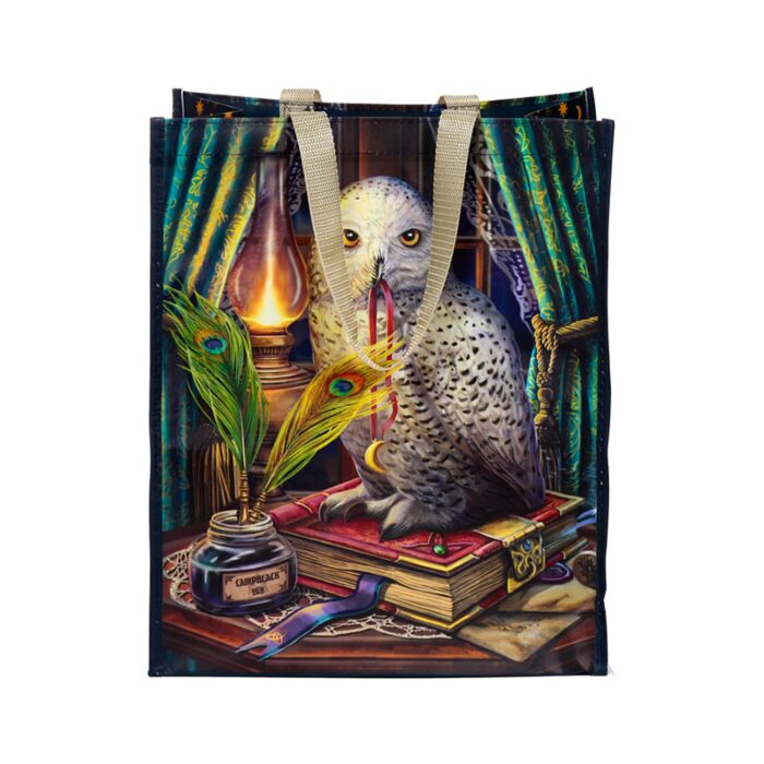 Geanta / Sacosa de cumparaturi, Lisa Parker, model bufniță Guardian of Spells, Shopping Bag, Reutilizabila