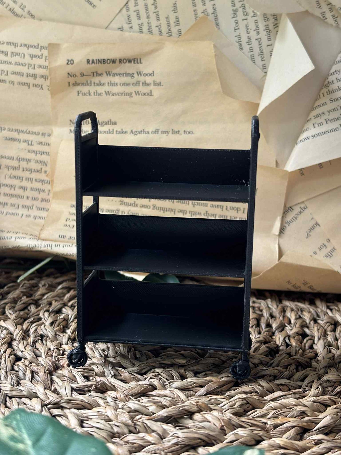 Mini Bibliotecă 3D