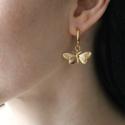 Cercei Moths and Butterflies