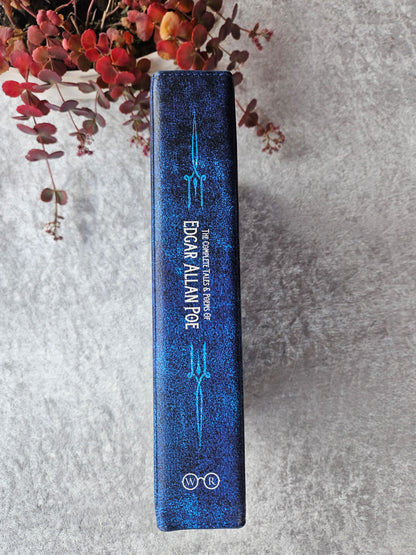 Geantă carte Edgar Allan Poe