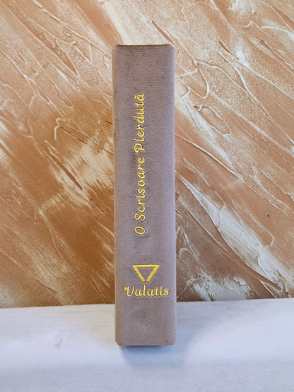 Geantă Carte Handmade – O scrisoare pierdută | Ediție Mocha Mousse