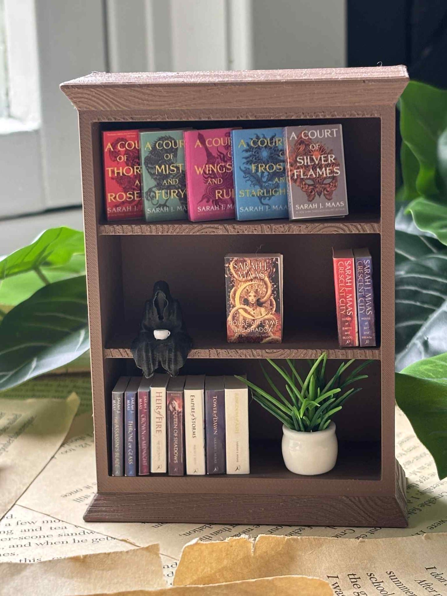 Mini Bibliotecă 3D "Shelf of Maas Destruction"