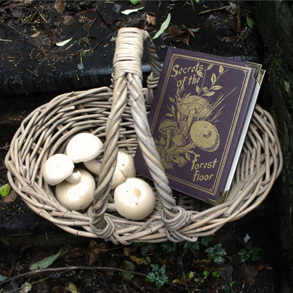 Geantă Carte Secrets of the Forest Floor - Ediție Luxury Gold Foiled