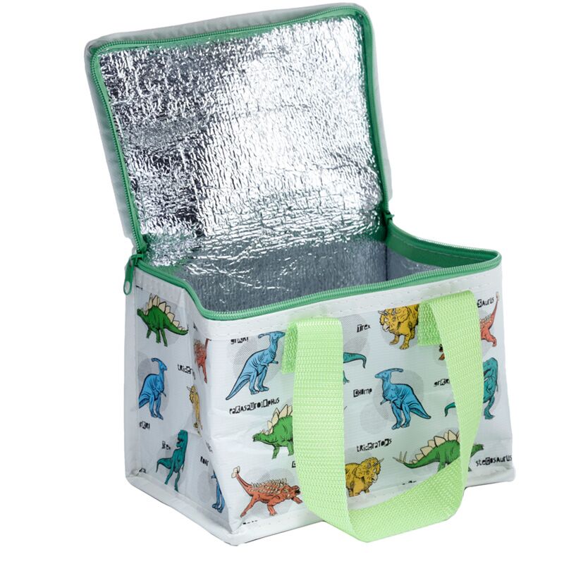 Geanta termoizolanta pranz, impermeabila, Dinosauria, Lunch Bag, design cu dinozauri, practică și ușoară