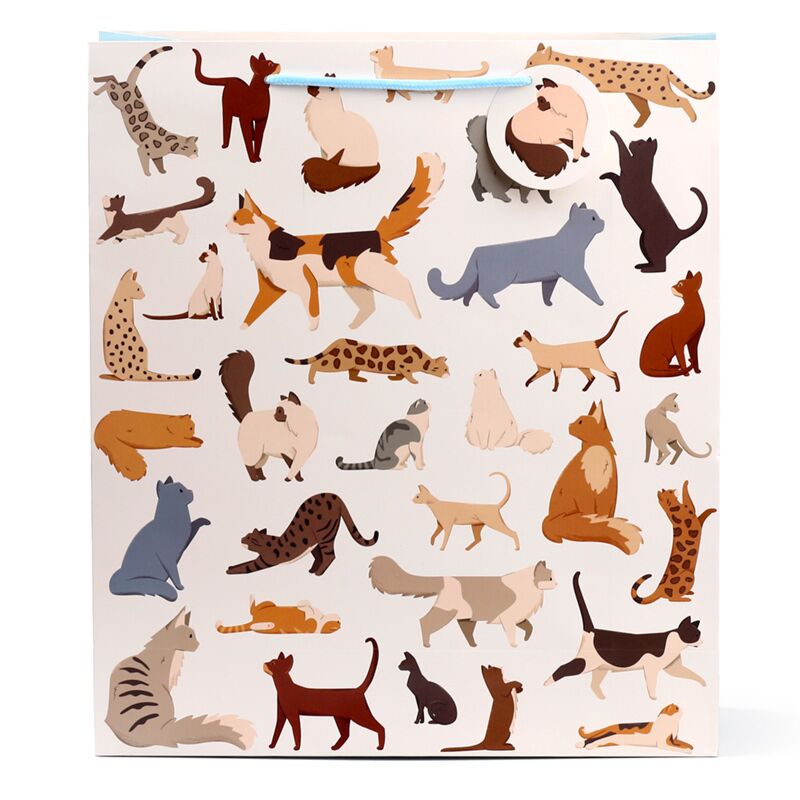 Punga cadou Pisici, Feline Fine, design pisici adorabile, pentru daruri speciale, extra mare, 40 x 35 x 12 cm