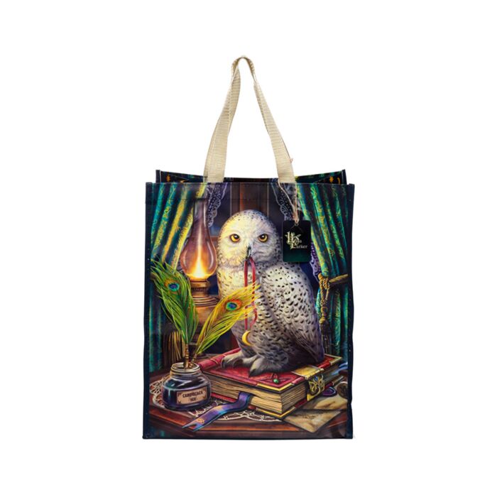 Geanta / Sacosa de cumparaturi, Lisa Parker, model bufniță Guardian of Spells, Shopping Bag, Reutilizabila