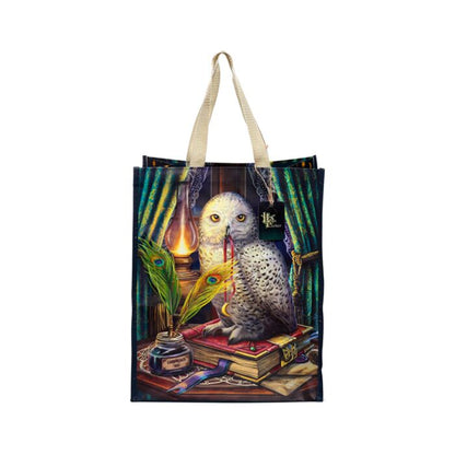 Geanta / Sacosa de cumparaturi, Lisa Parker, model bufniță Guardian of Spells, Shopping Bag, Reutilizabila