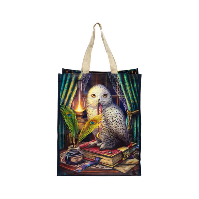 Geanta / Sacosa de cumparaturi, Lisa Parker, model bufniță Guardian of Spells, Shopping Bag, Reutilizabila