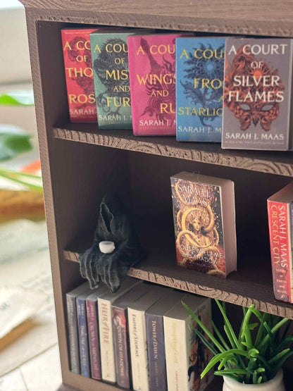 Mini Bibliotecă 3D "Shelf of Maas Destruction"