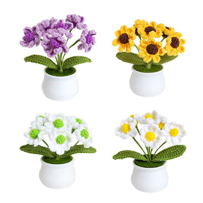 Kit crosetat flori DIY pentru incepatori cu ghivece decorative si instructiuni