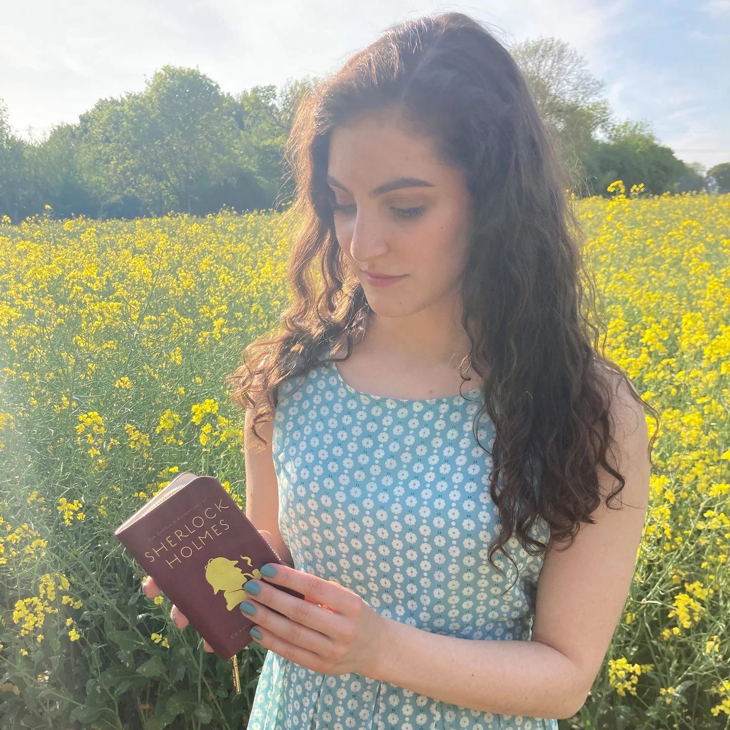 Portofel Sherlock Holmes